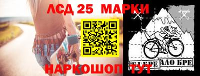 гидропоника Берёзовский